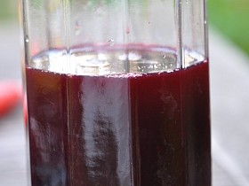 SIRUP TŘEŠŇOVÝ