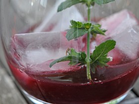 SIRUP TŘEŠŇOVÝ