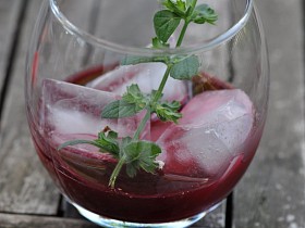 SIRUP TŘEŠŇOVÝ